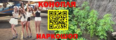 прущие крисы Апшеронск