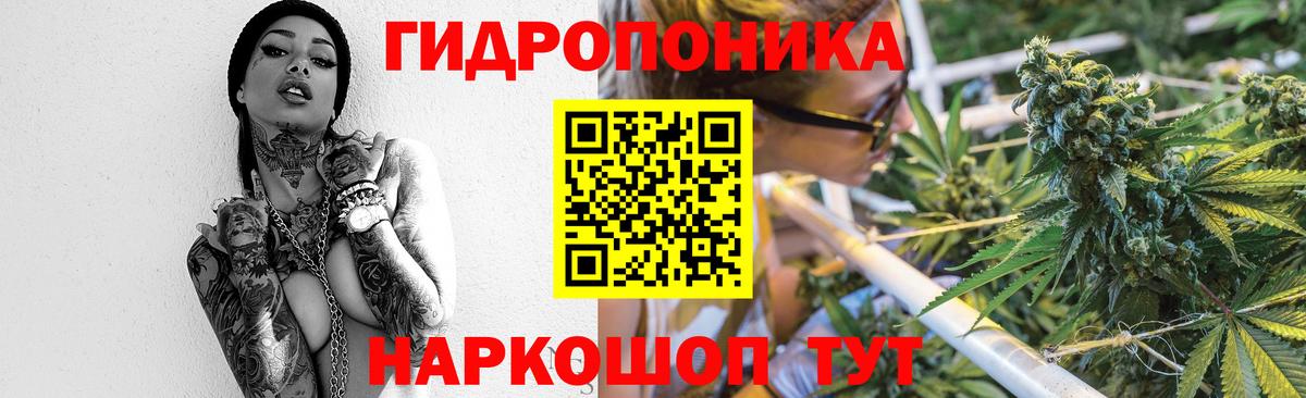 Шишки марихуана планчик Батайск